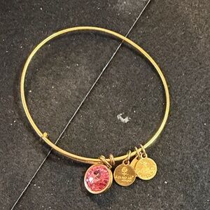 Alex and Ani Gold Bangle with Pink Stone and Signature Charms